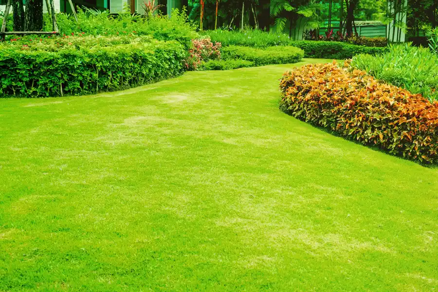 Landscape Service