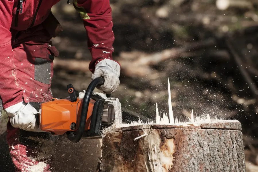 Stump Removal